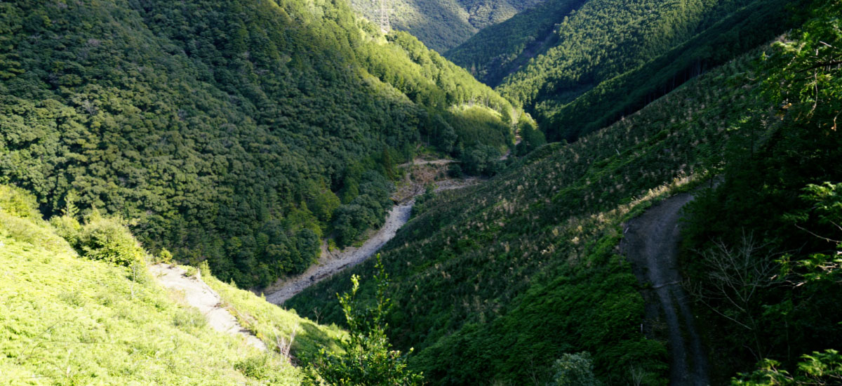 次世代に繋がるサスティナブルな森林経営に取り組む