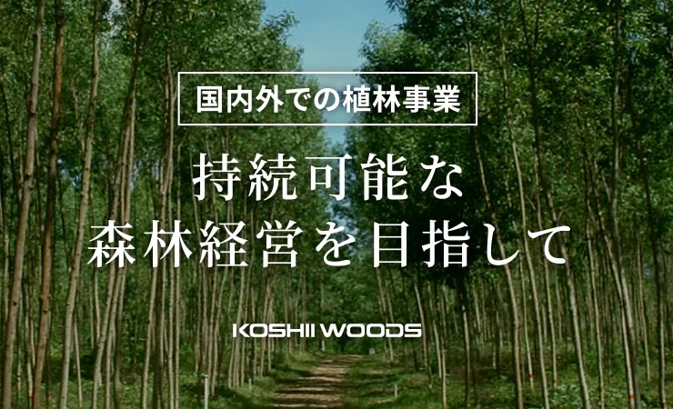 越井木材が国内、海外で取り組むサスティナブルな植林事業