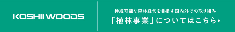 持続可能な森林経営を目指す越井木材工業の国内外での「植林事業」について