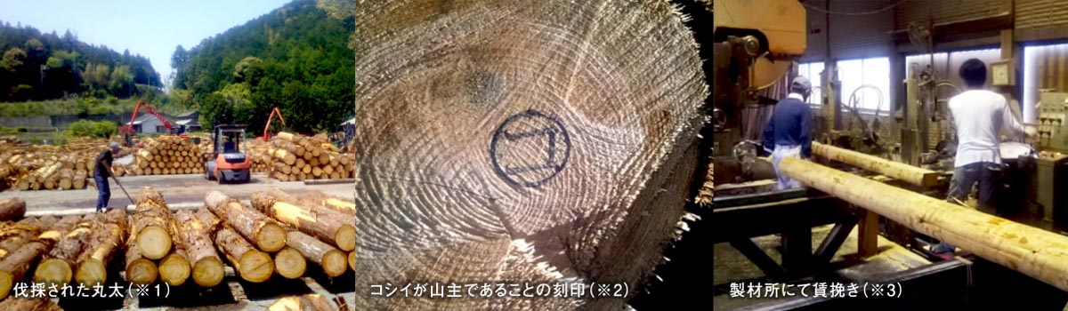 自社林の丸太を製材し活用、再造林に繋げる