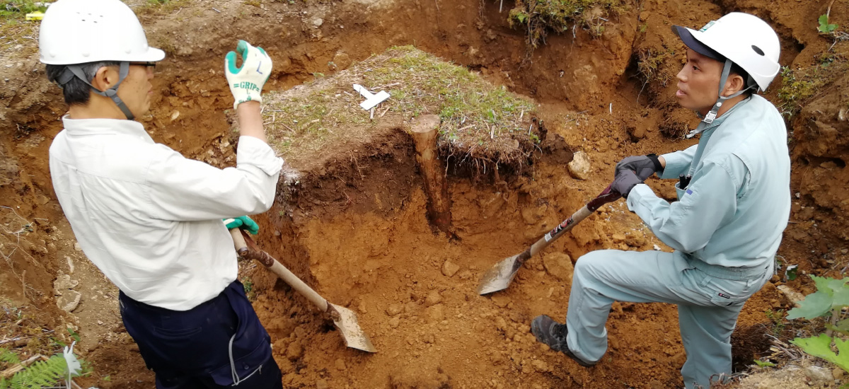 阿部先生(委員)と木杭抵抗力試験を実施し工法を開発中