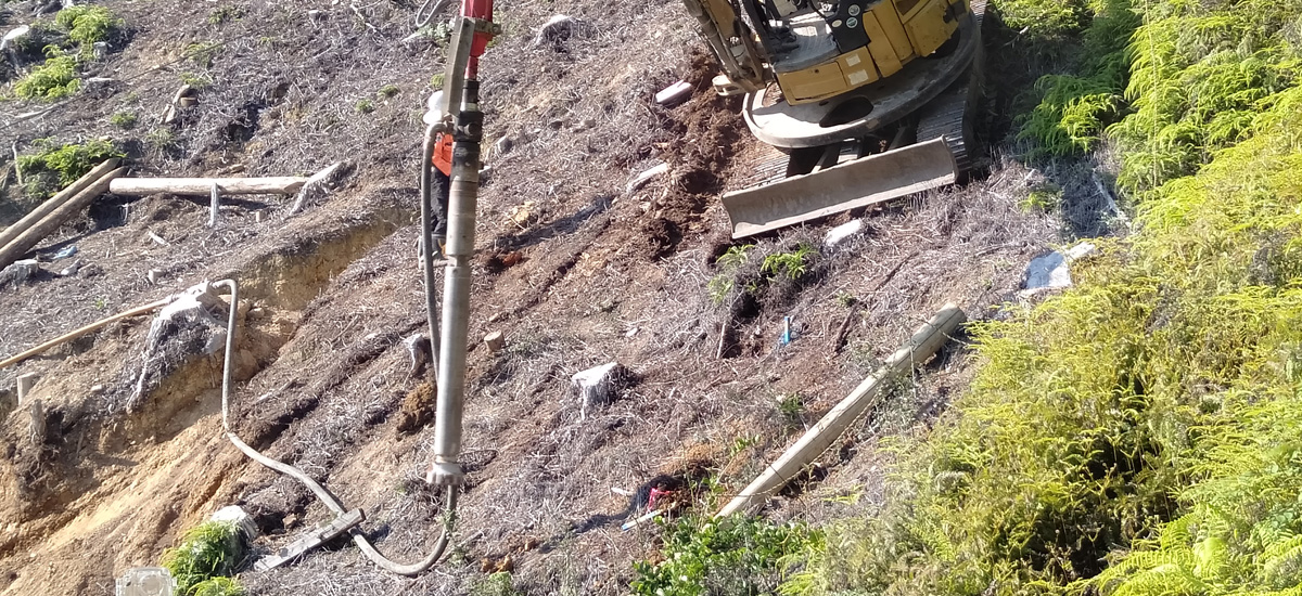 社有林(三重県)の斜面へ木杭打ち込み試験を実施