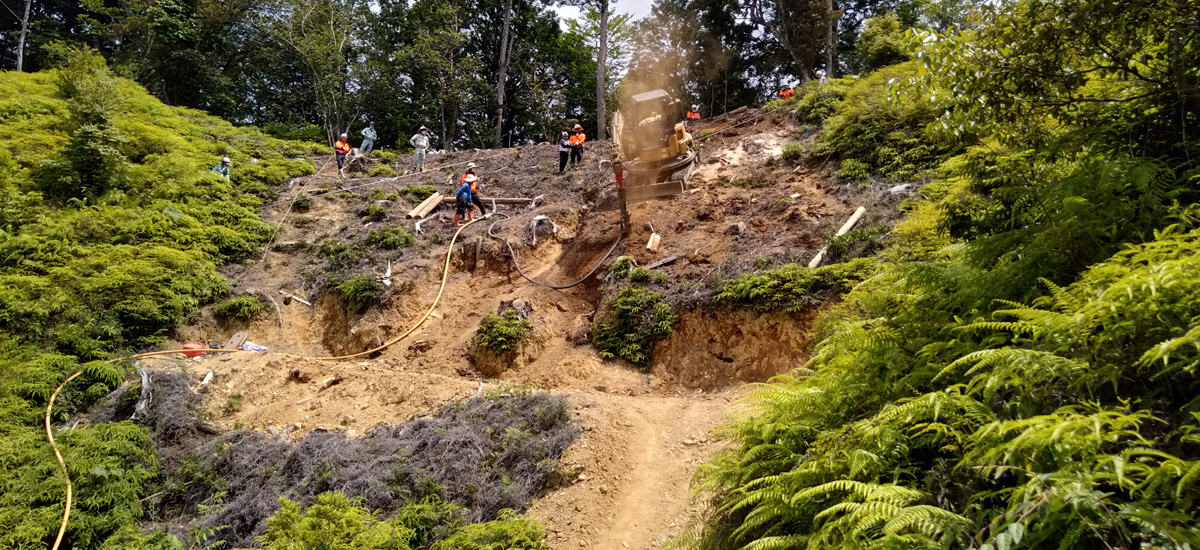 社有林(三重県)での山腹崩壊予防工法の実地試験