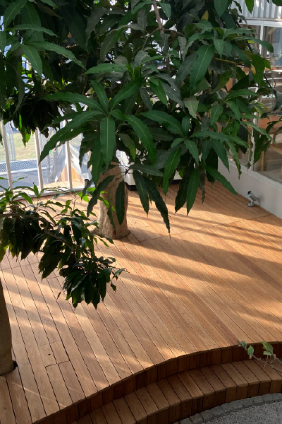 みとろの丘（みとろフルーツパーク）＜ウッドデッキ・ベンチ：コシイ・スーパーサーモ＞