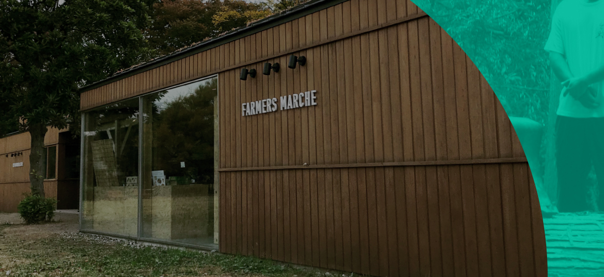 サーモウッドの外装はヒートアイランド現象緩和にも貢献する